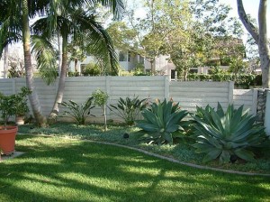 Timber Fencing