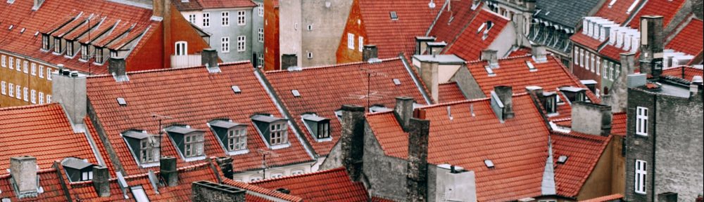 What to Look for in a Roof?