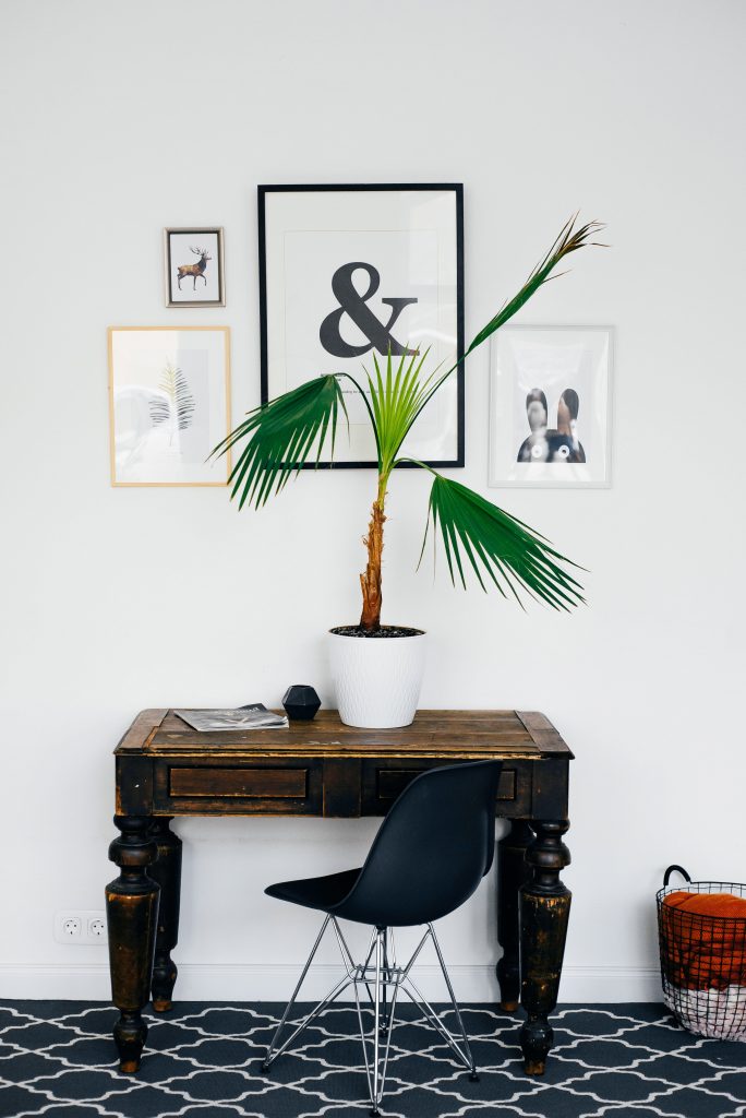 interior designer menai bridge