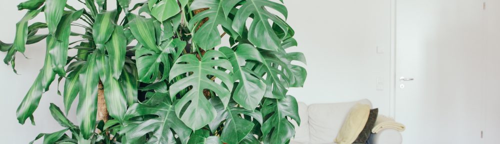 What is the Best Green Energy Lighting Solution?