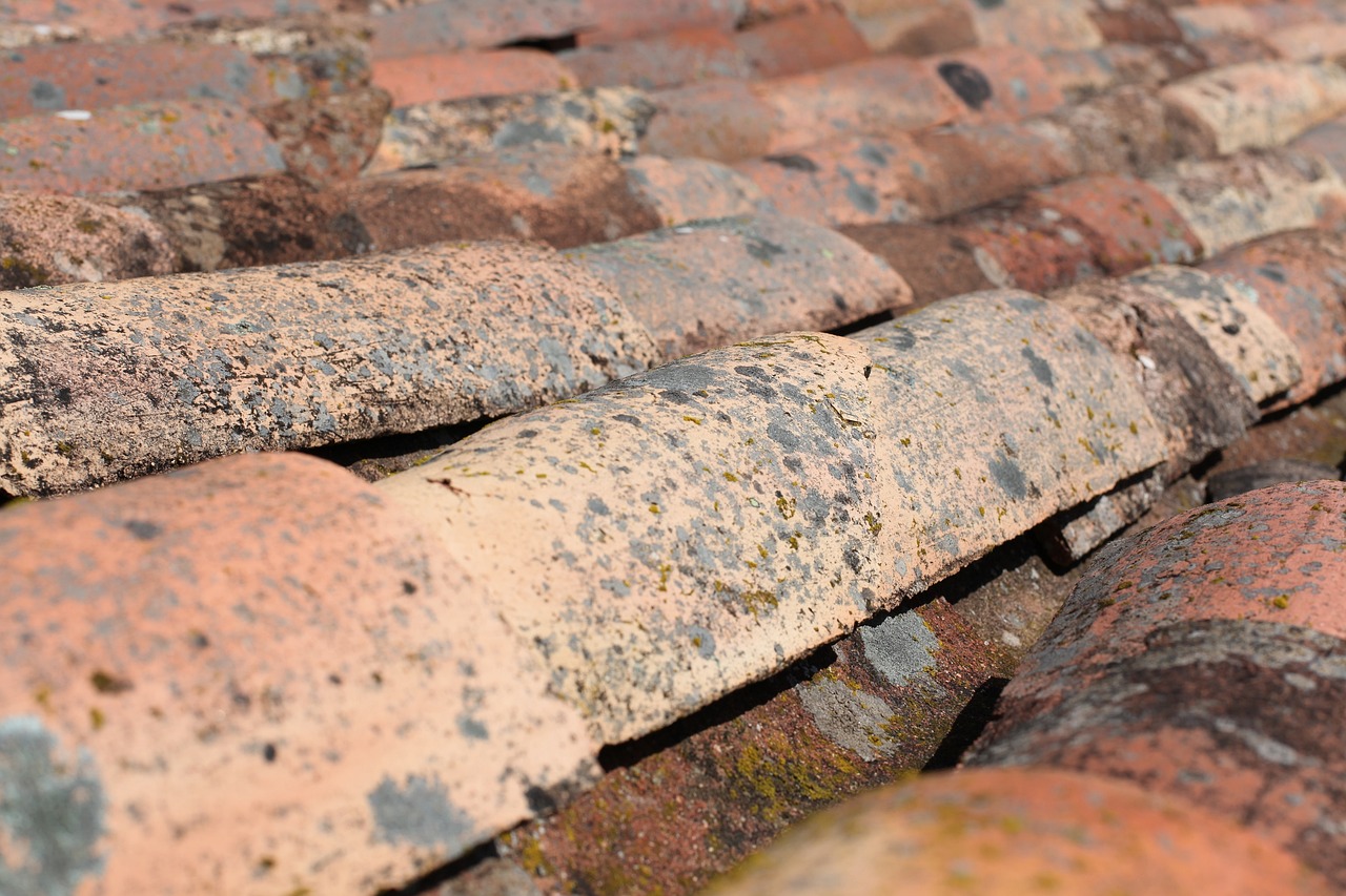 Signs It’s Time to Replace Your Roof