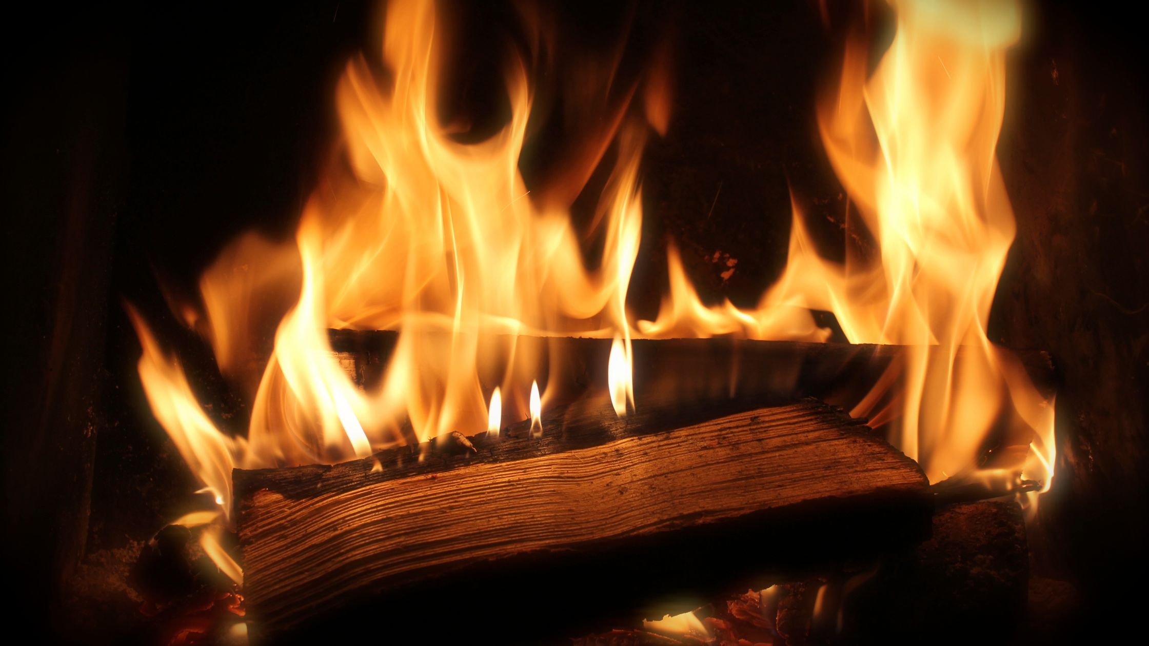 What’s the Best Wood to Burn?